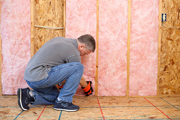 Types of Insulation We Offer in Seatac, WA